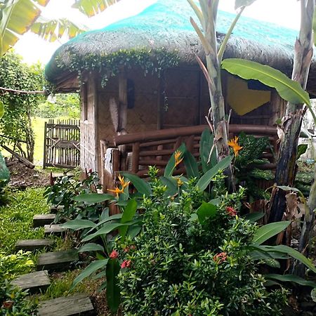 Dupas Luce Love Lodges Talipan Esterno foto