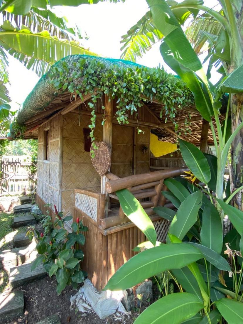 Dupas Luce Love Lodges Talipan Esterno foto