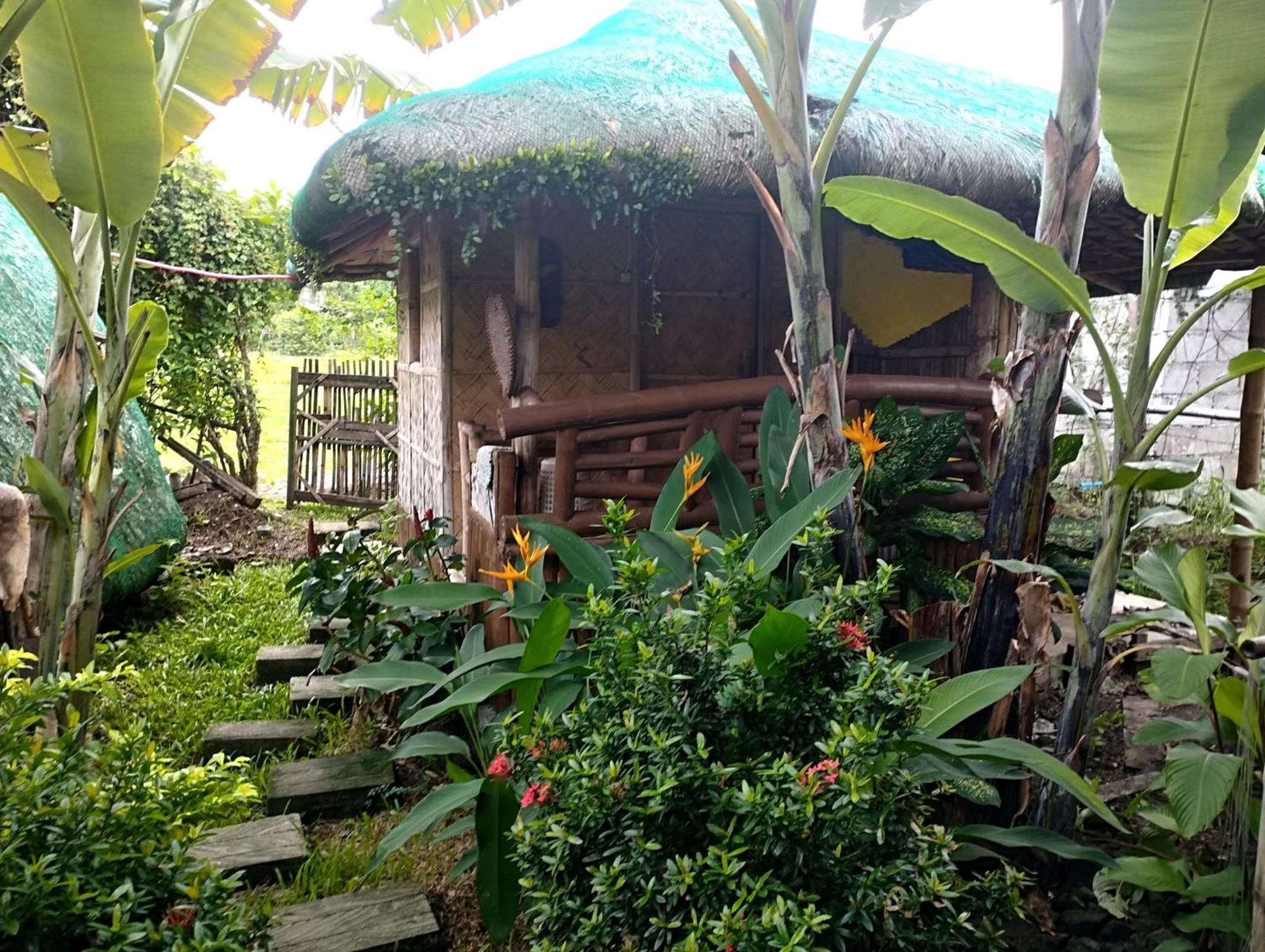 Dupas Luce Love Lodges Talipan Esterno foto