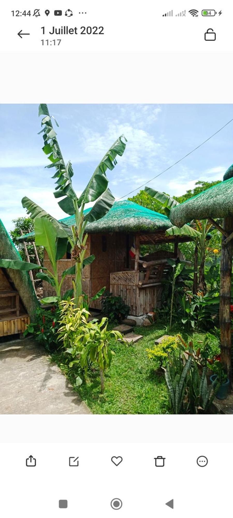 Dupas Luce Love Lodges Talipan Esterno foto